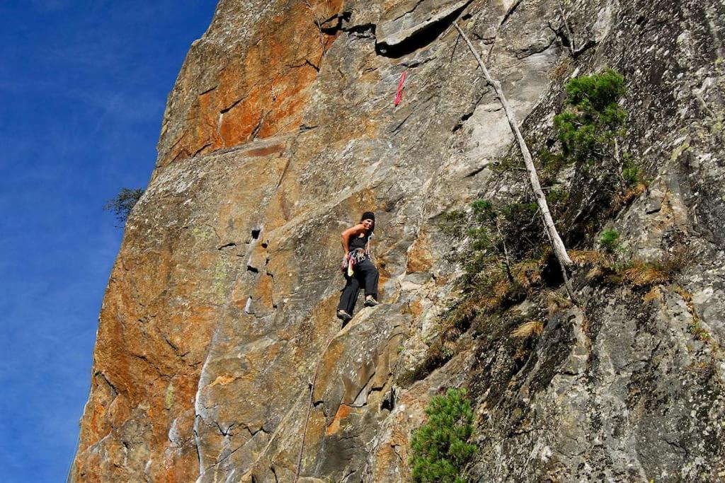 Apartmán Alpenrose Ramsau im Zillertal Exteriér fotografie